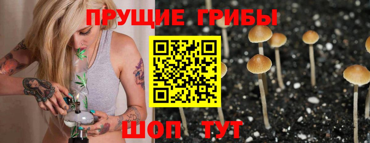 Клин  Галлюциногенные грибы мухоморы  Вход с VPN 